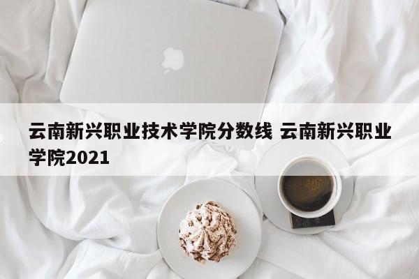 云南新兴职业技术学院分数线 云南新兴职业学院2021